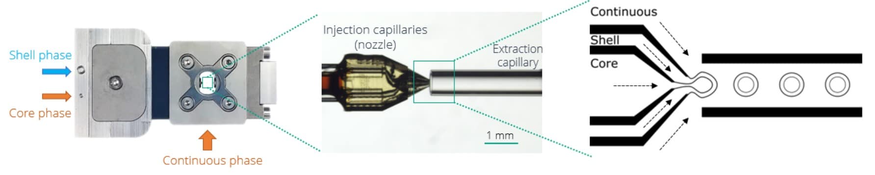 Production of double emulsions FOR droplet sorting FACS flow cytometry