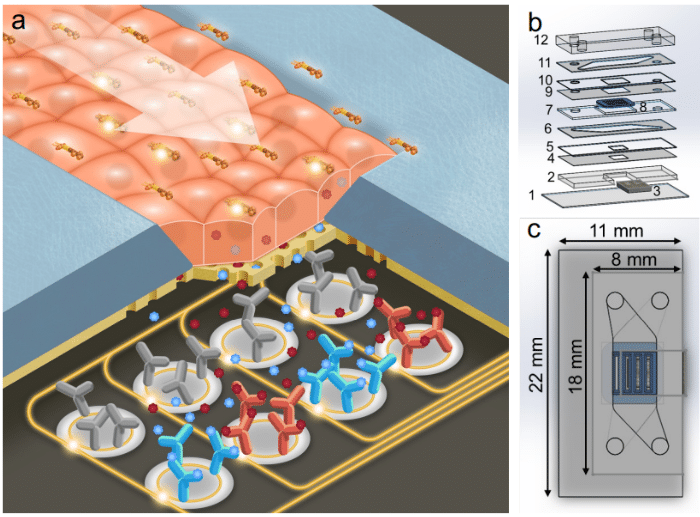 Photonic Sensor-Enabled Tissue Chip