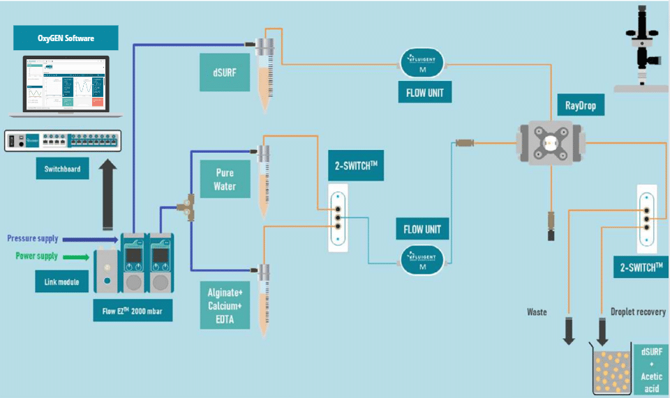 Alginate Microbeads Production