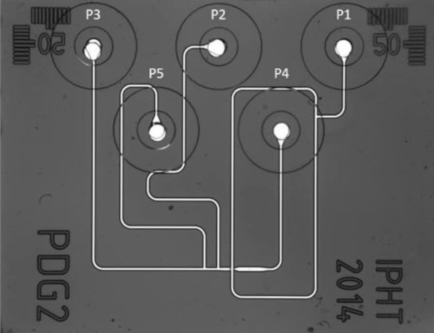 microfluidic chip for network solver