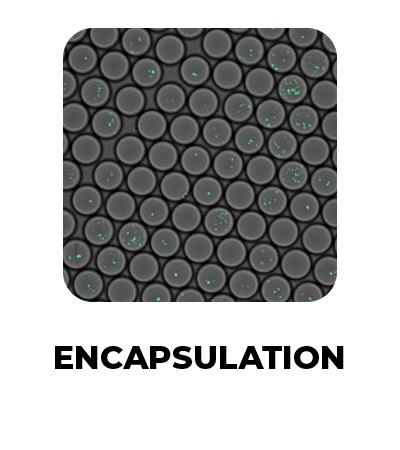 industrial solution for encapsulation