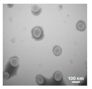 lipid nanoparticles