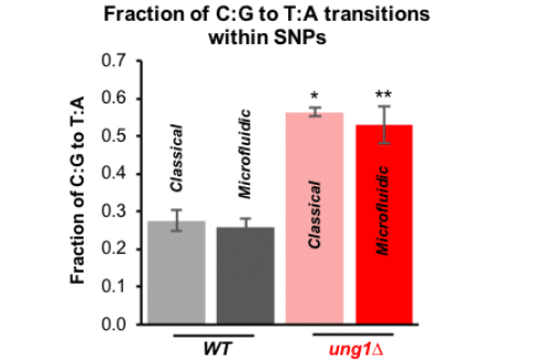 mutation accumulation on plate vs microfluidic chip