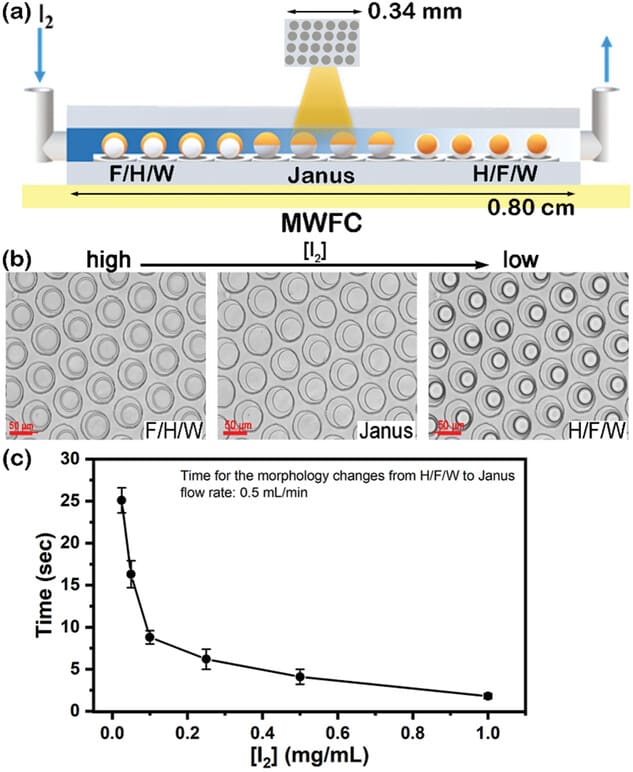 Morphological changes of complex emulsions