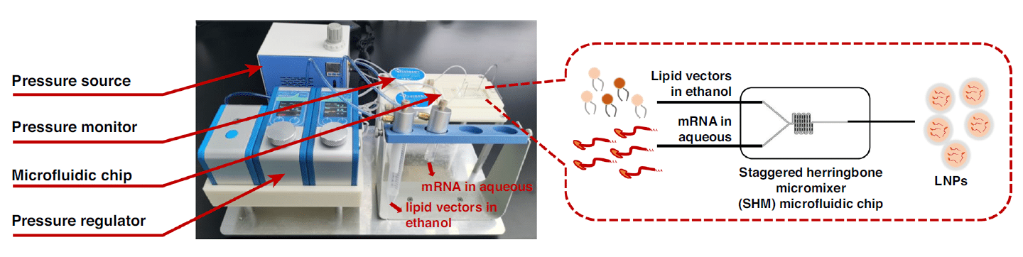 mRNA encapsulation module for mRNA LNP