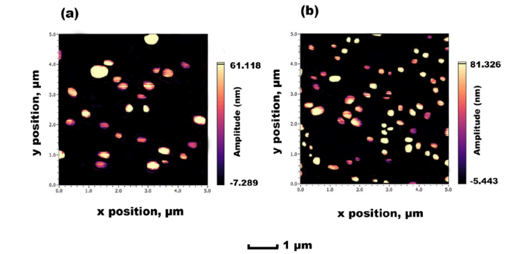 AFM images obtained for F8 SLN encapsulation