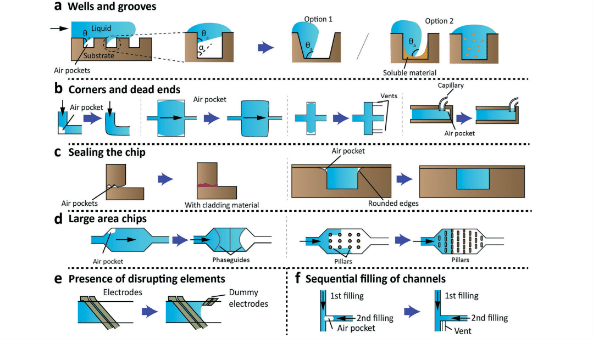 structures contributing to bubble formation