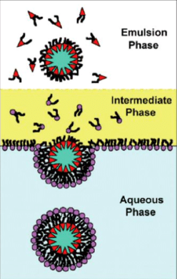 droplet transfer method to forme GUVs