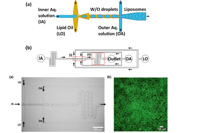 GUV production with PDMS-on-glass chip