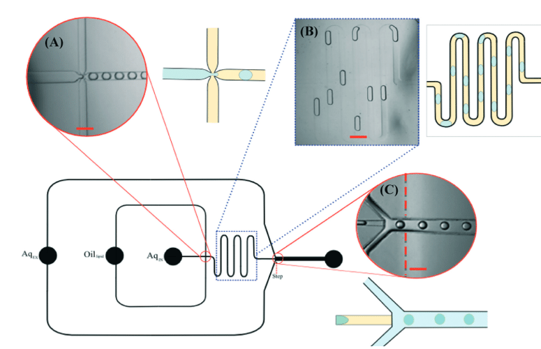 microfluidic to enhance Giant Unilamellar Vesicles production