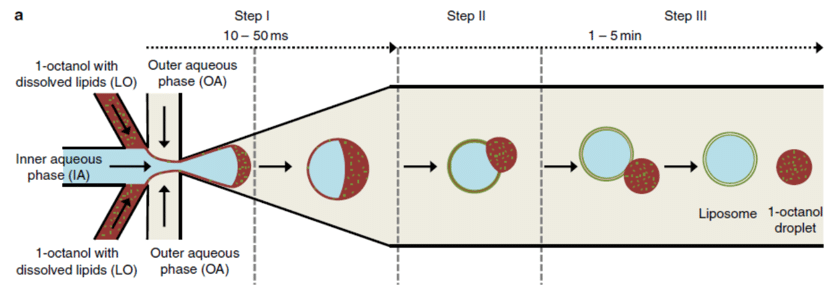 Octanol separation from the formed GUV