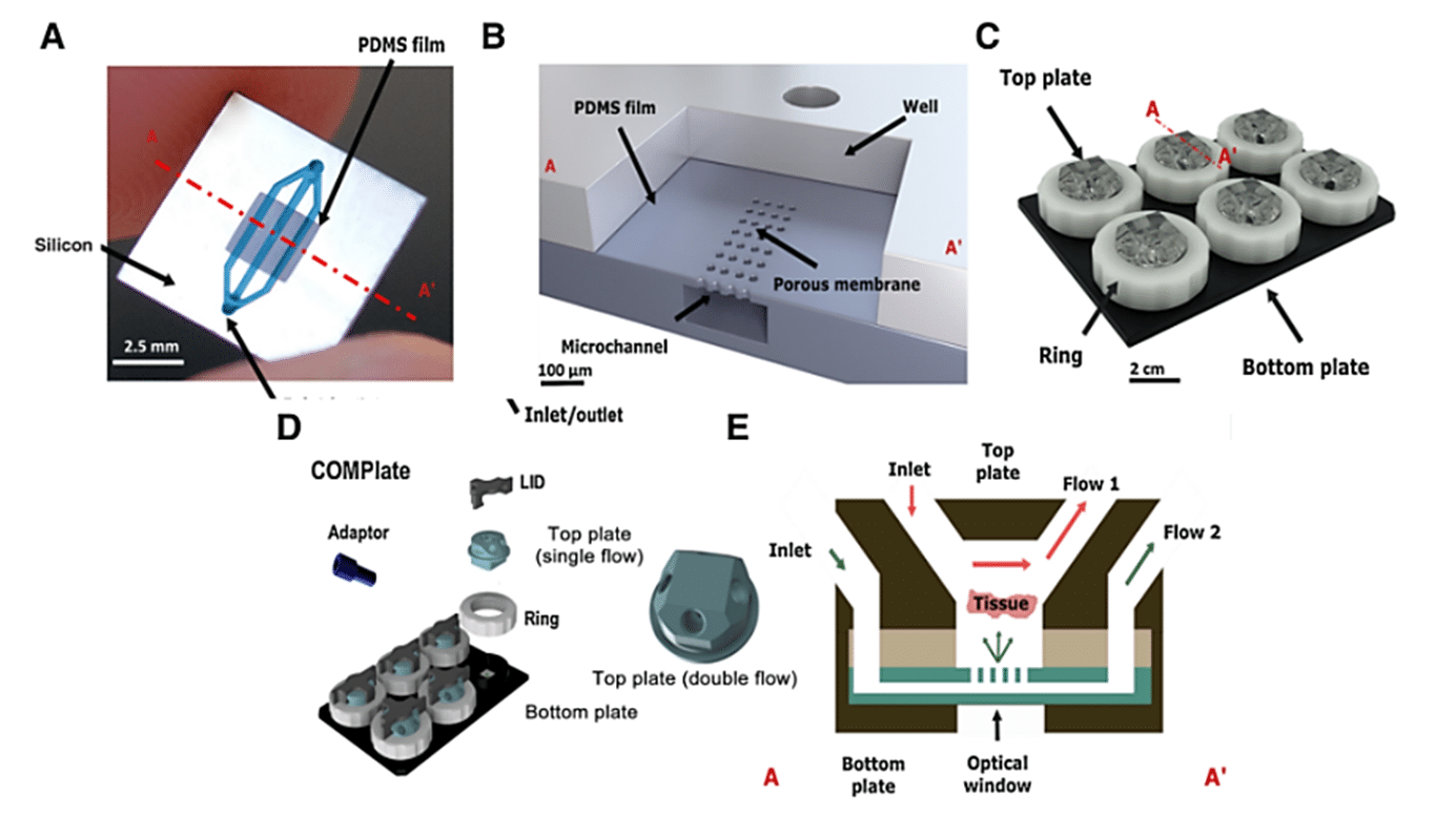 microfluidic Cancer-on-a-chip device design