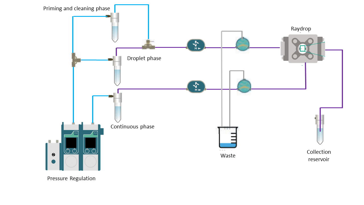 microfluidic circuit of the Complex Emulsion Production Platform for PLGA microparticle synthesis