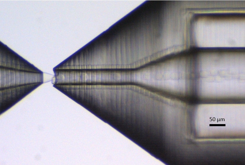 PLGA-Ethyl Acetate droplets