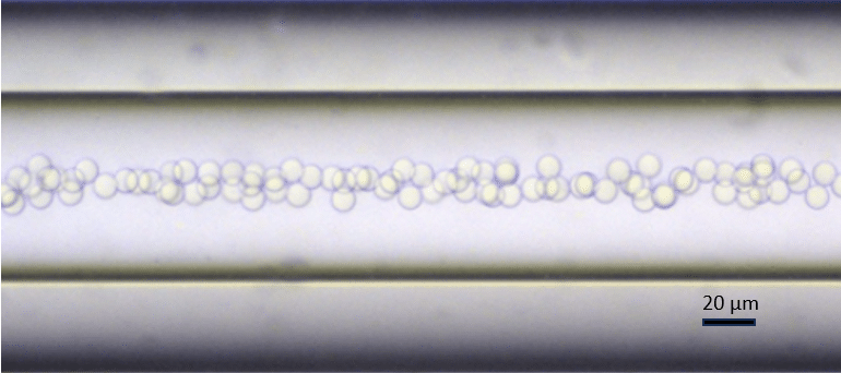 PLGA-Ethyl Acetate droplets