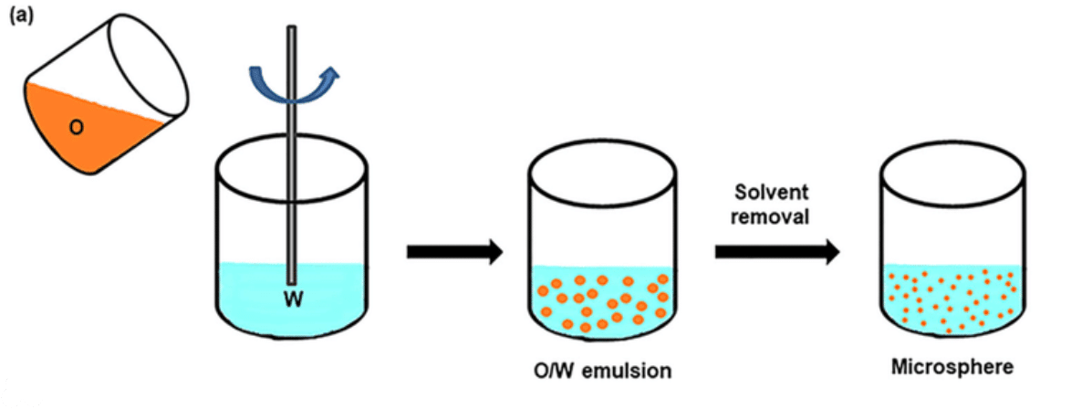 PLGA microspheres prepared via emulsification