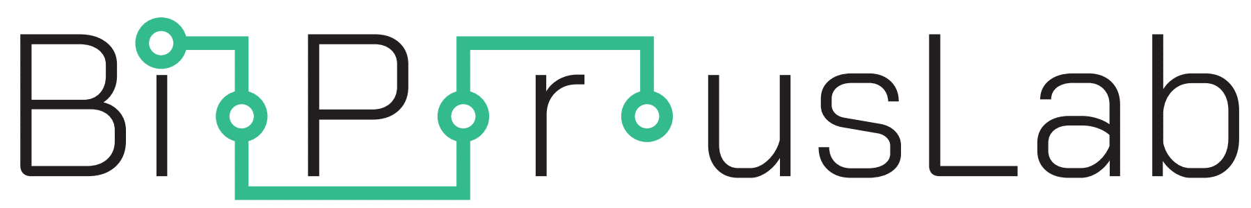 Logo BioPorousLab