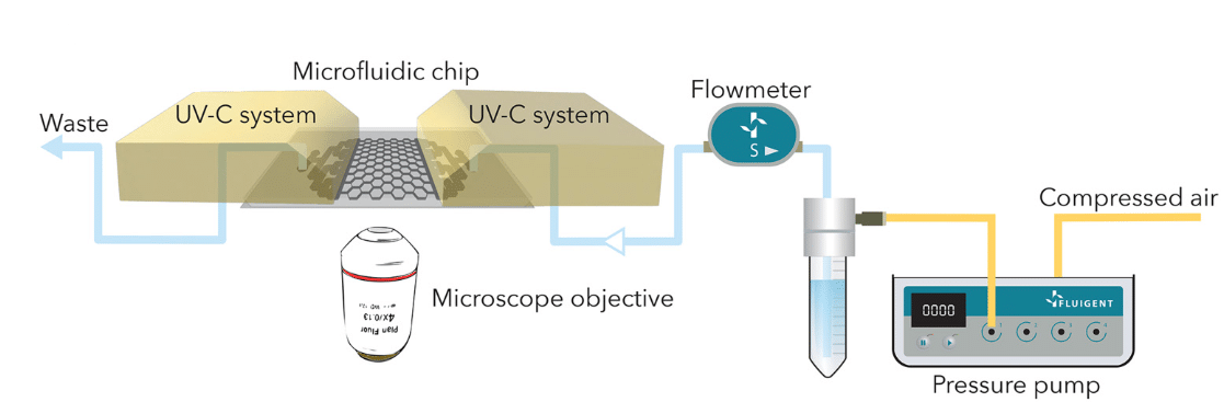 microfluidic for biofilm study set-up