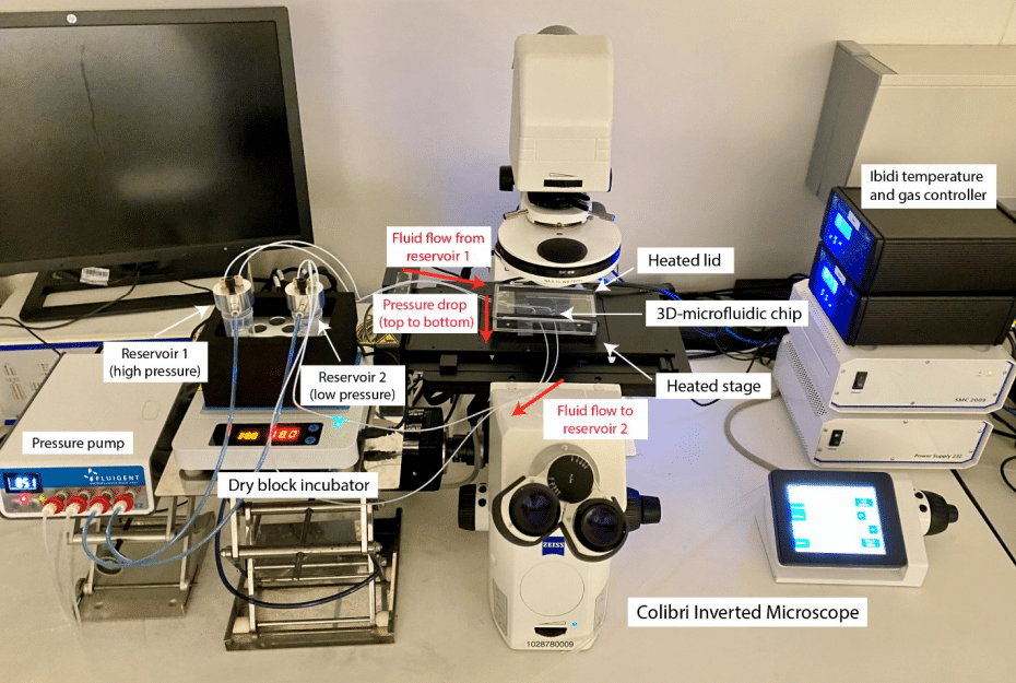Microfluidic setup