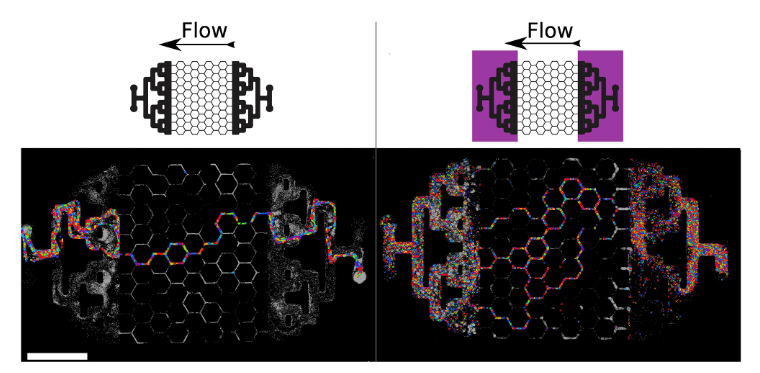 Velocimetry indicating the flow path