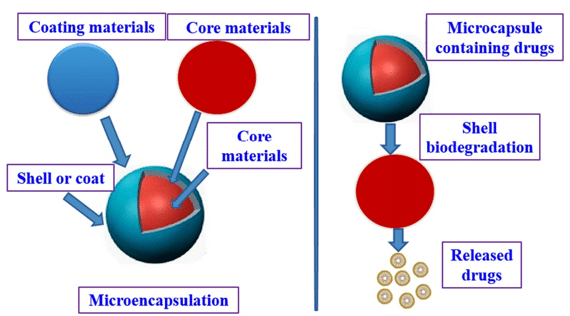 Schematic of core-shell microcapsules