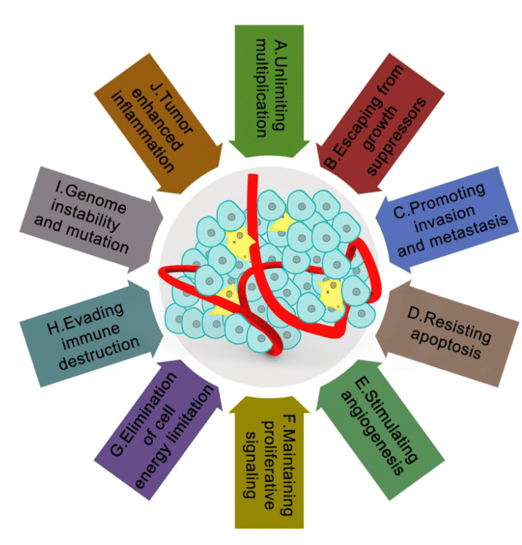 Characteristics of tumor microenvironment in cancer