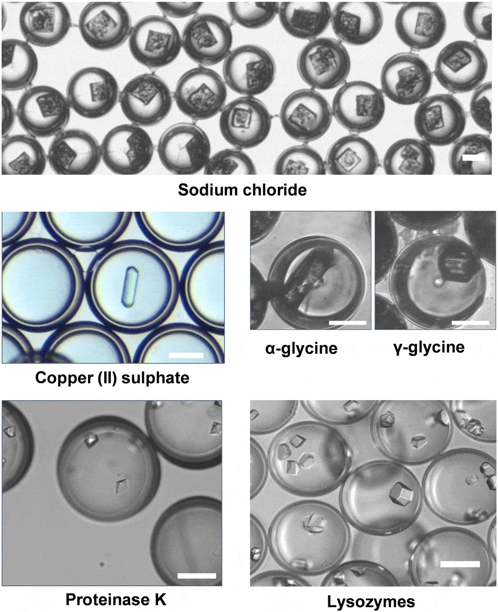 UV crosslinked microcapsules production