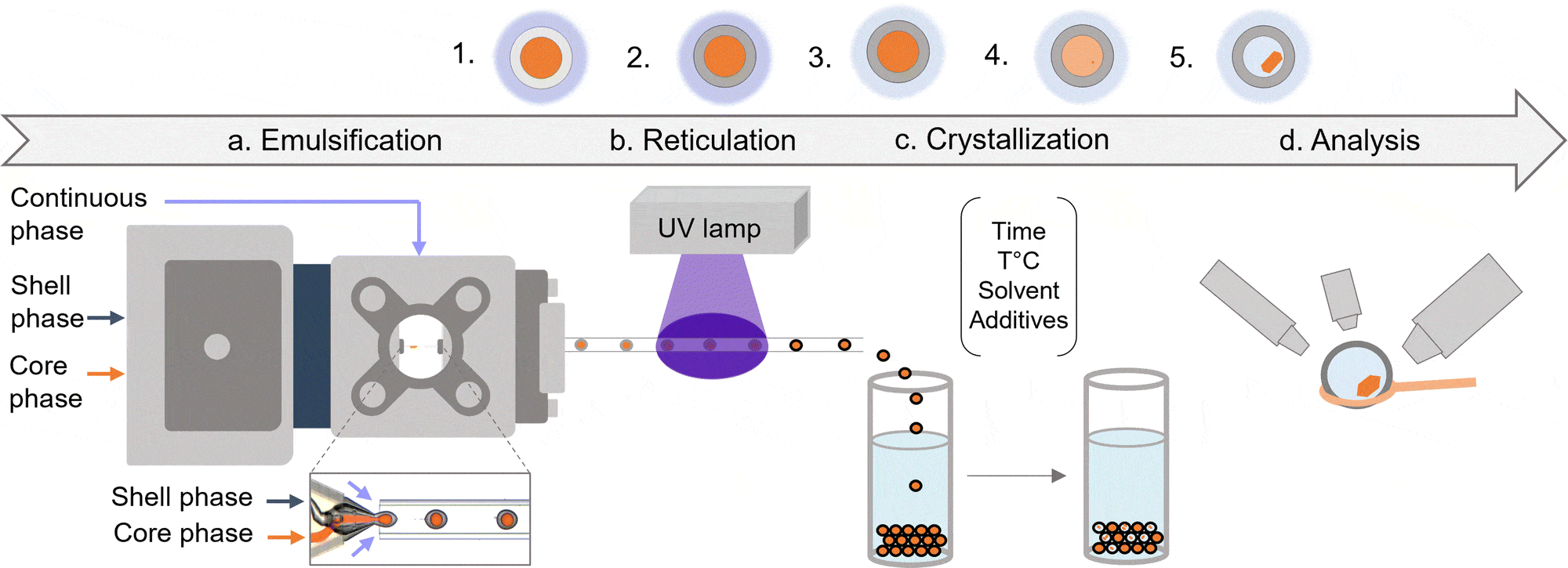 UV-crosslinked microcapsules for crystallization