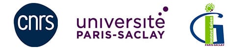 3 LAB LOGOS