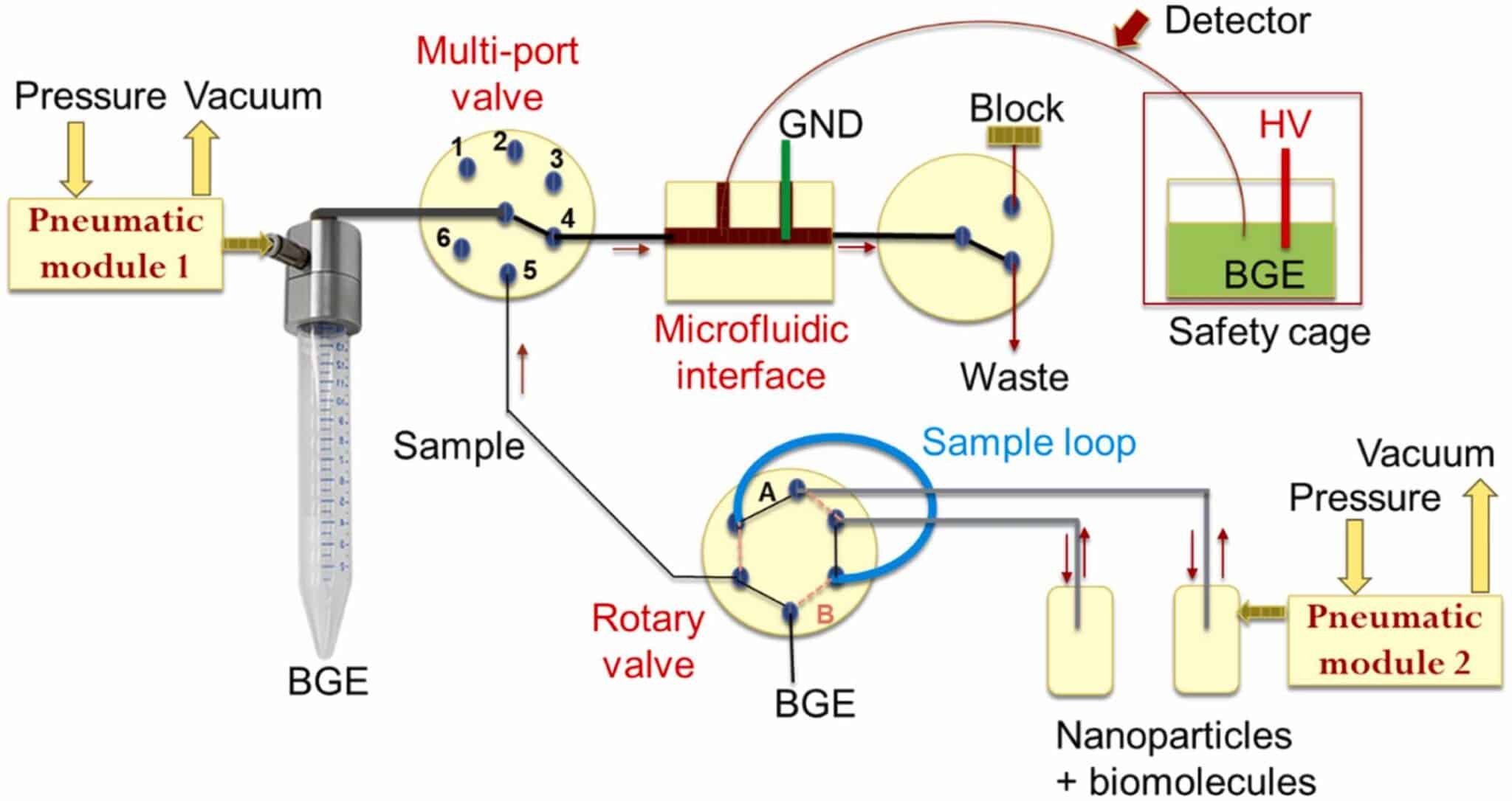 Schematic drawing of the capillary electrophoresis setup