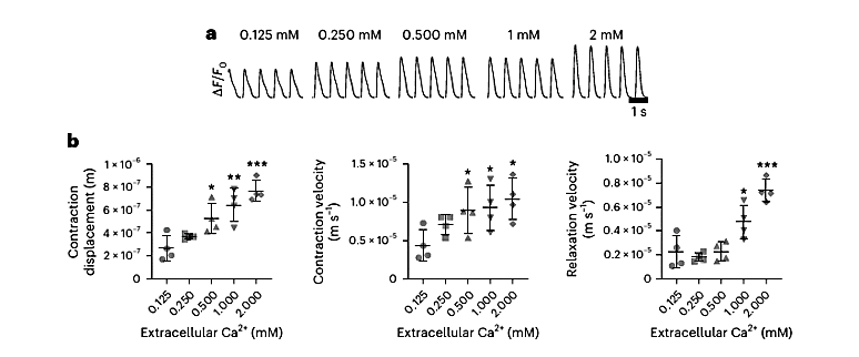 graph of contraction displacement