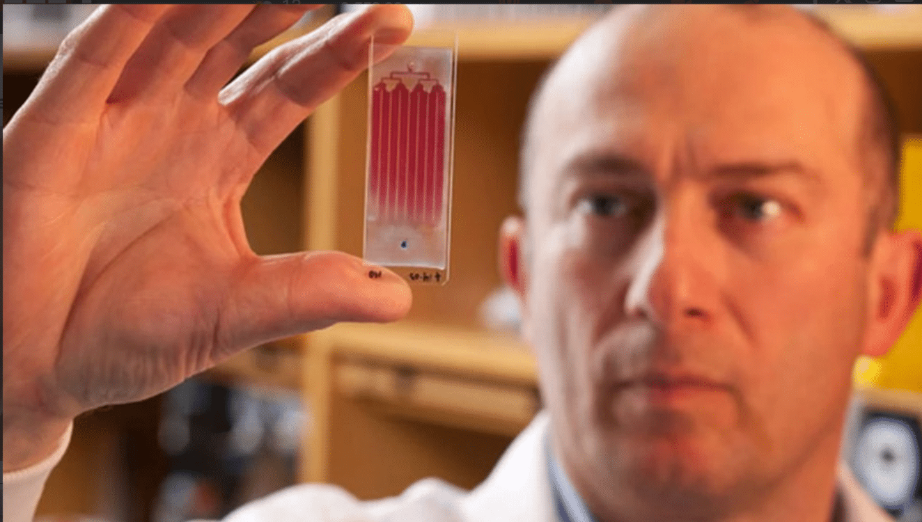 someone looking at a microfluidics chip