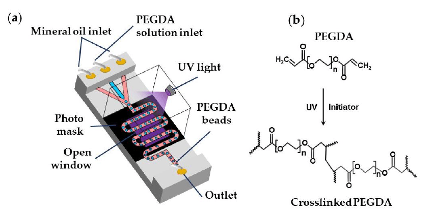 Formation of PEGDA beads by UV light–induced polymerization