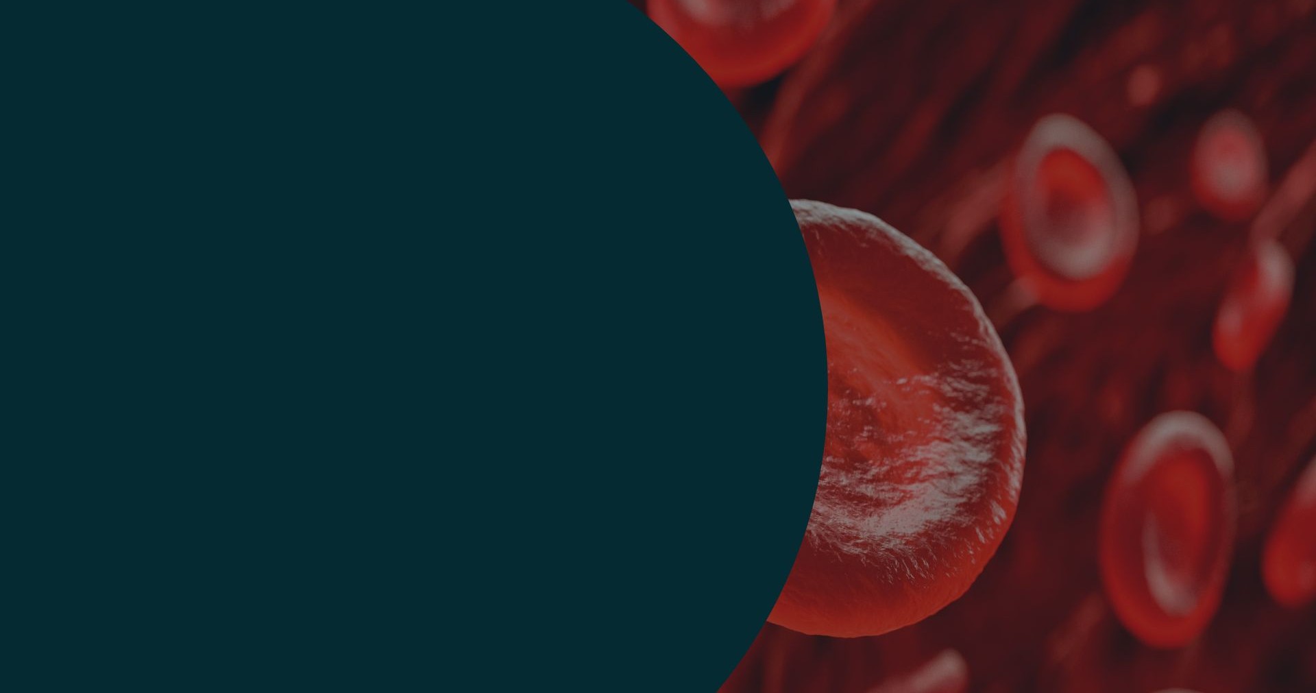 background slider