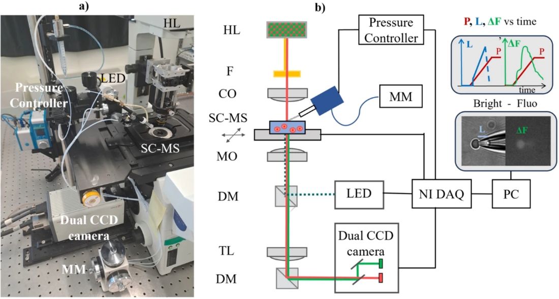 image of the micropipette aspiration setup