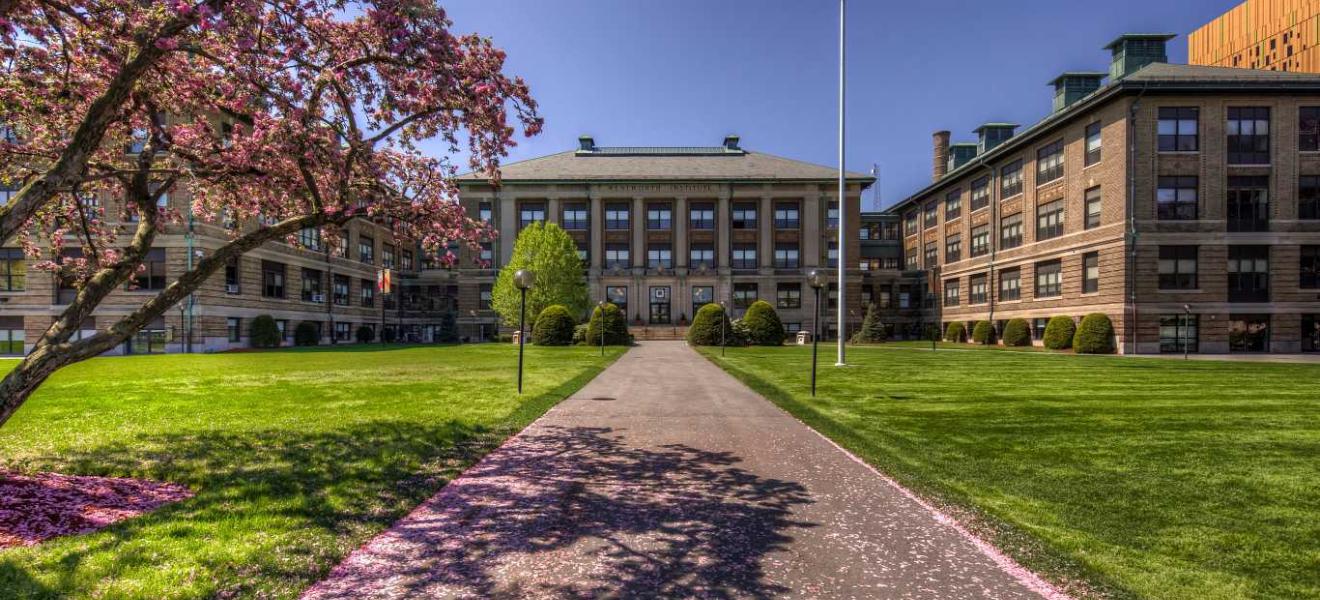 WIT Campus image