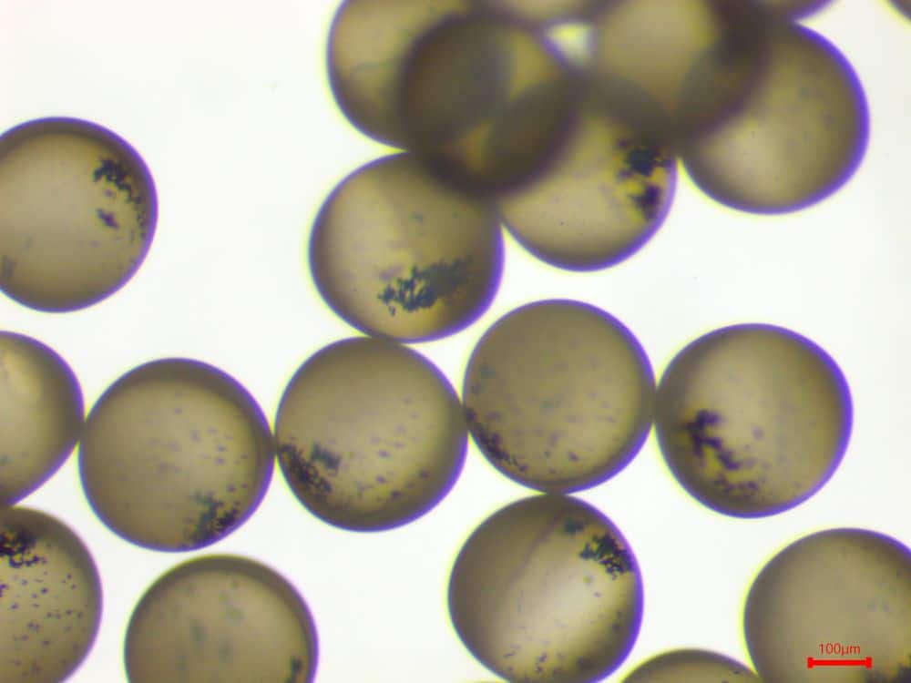 image of iron oxide encapsulation