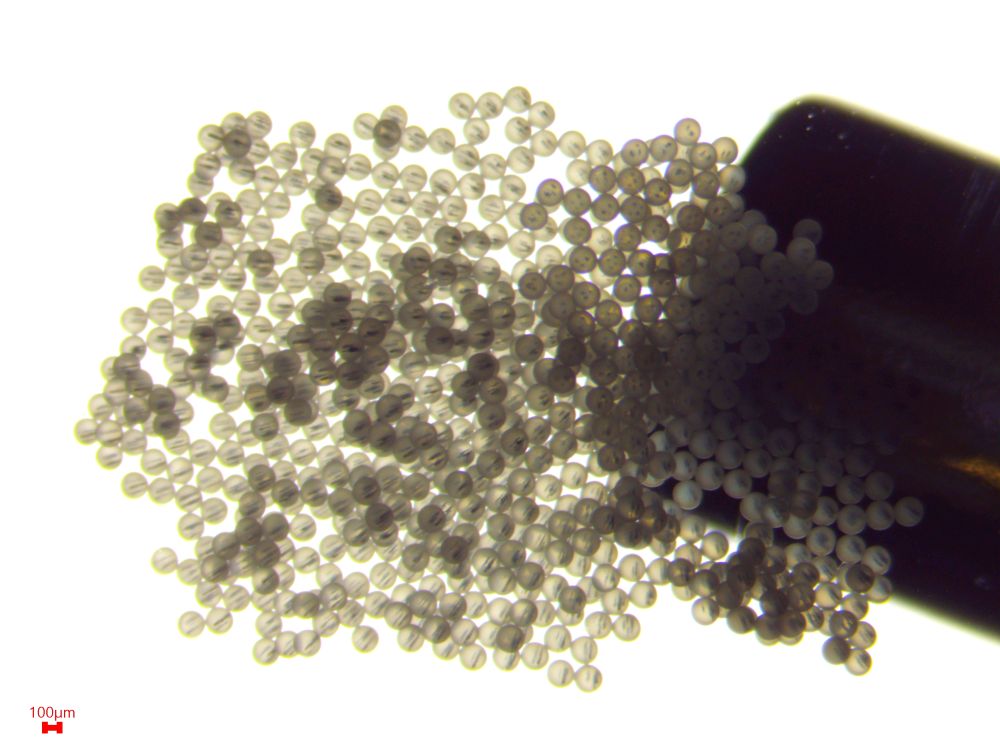 image of iron oxide NPs inside core 30gL magnet