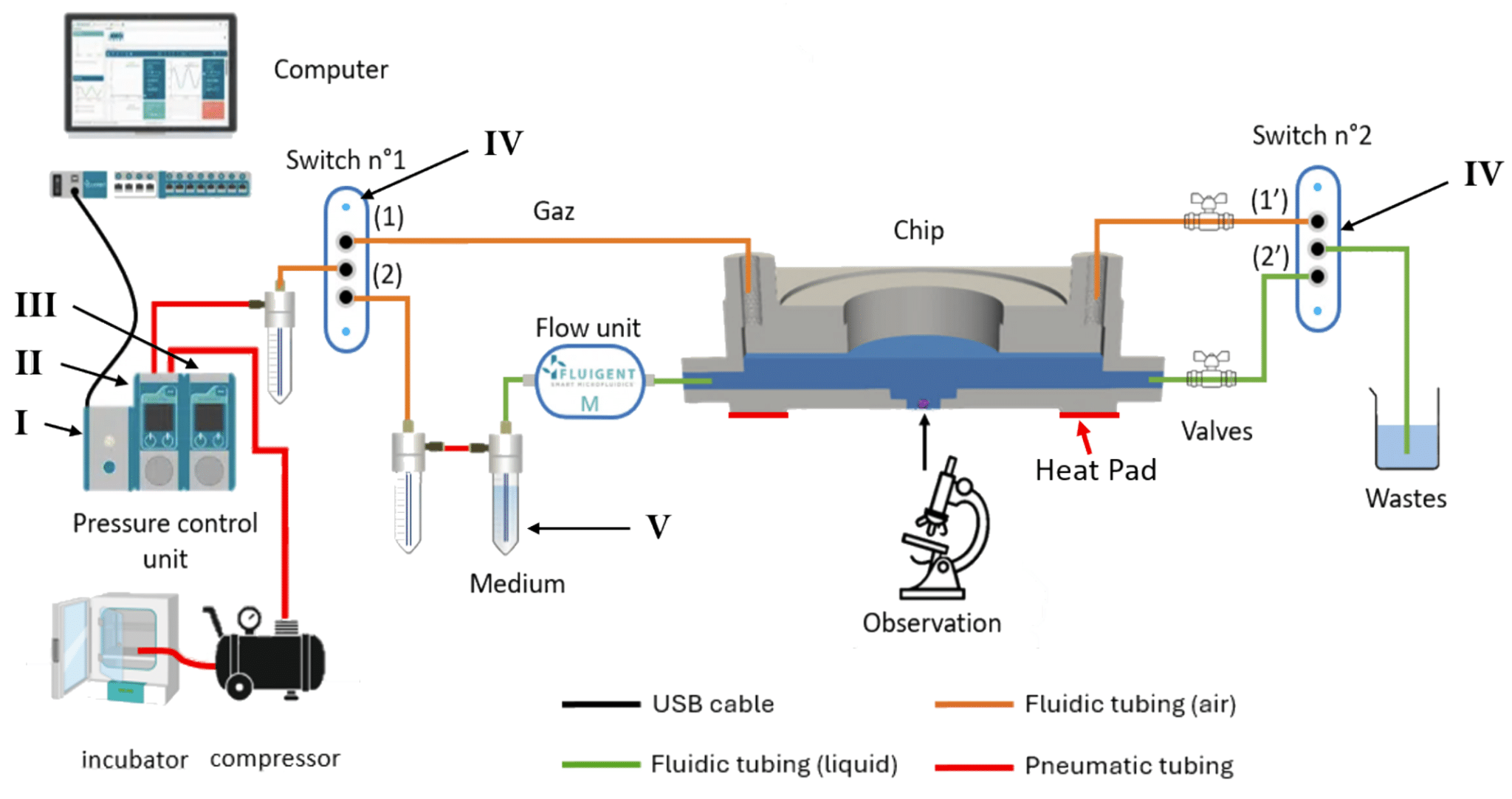 Automated platform for long-term cell culture